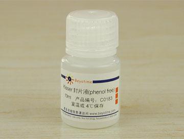 Kisser封片液(phenol free)